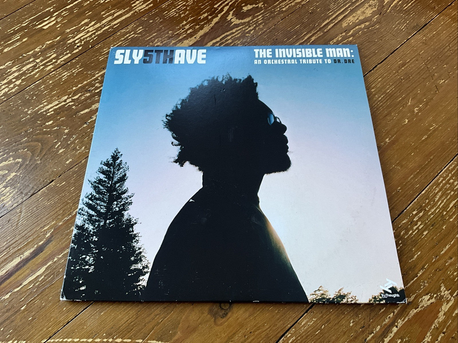Invisible Man: an Orchestral Tribute to Dr. Dre by Sly5thave (Record, 2017)