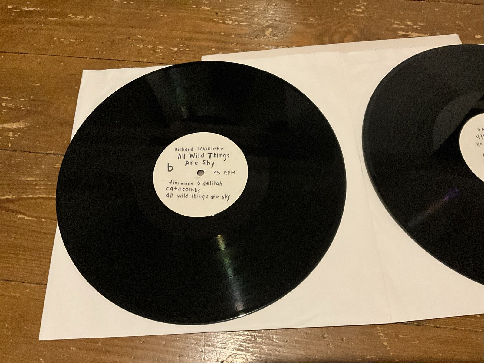 Richard Laviolette - All Wild Things Are Shy Vinyl