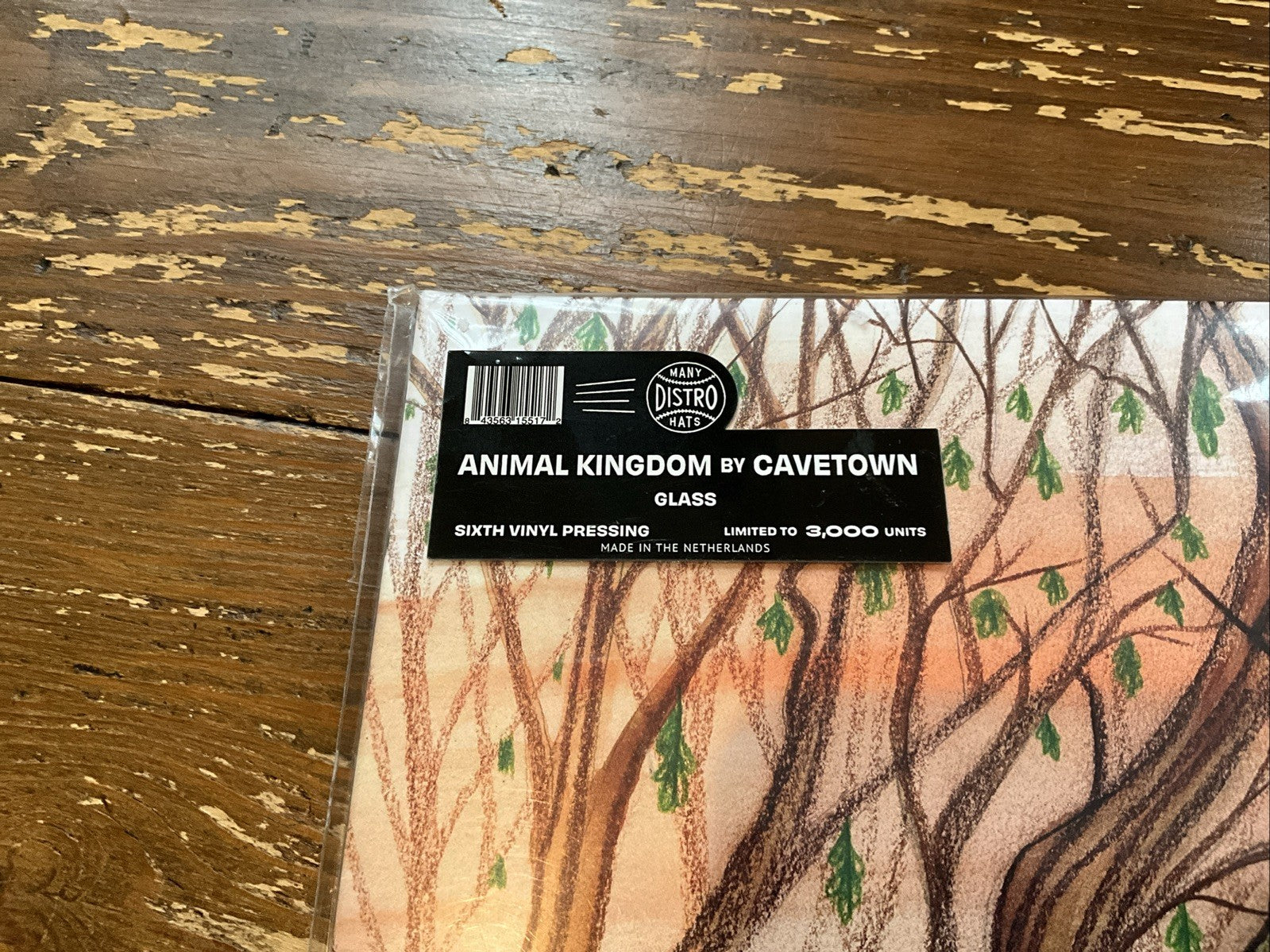 cavetown : Animal Kingdom VINYL 12" Album Coloured Vinyl (Limited Edition)