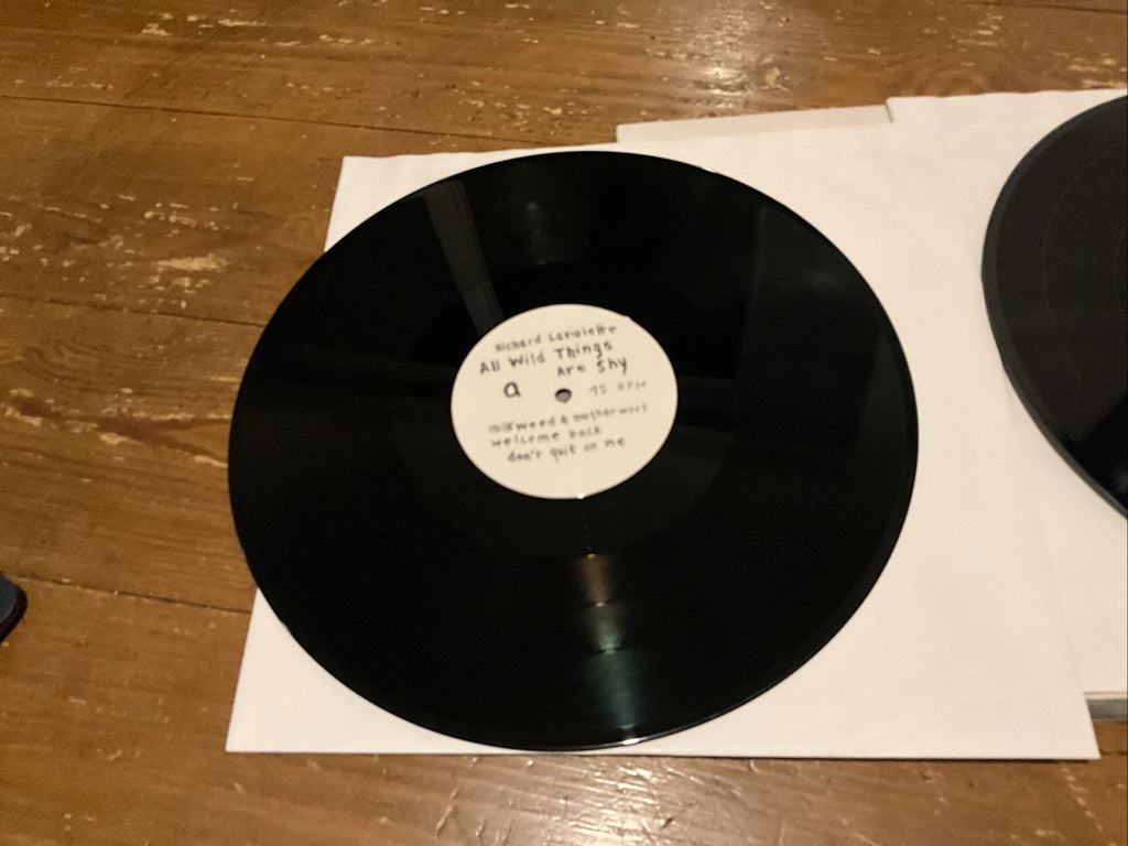Richard Laviolette - All Wild Things Are Shy Vinyl