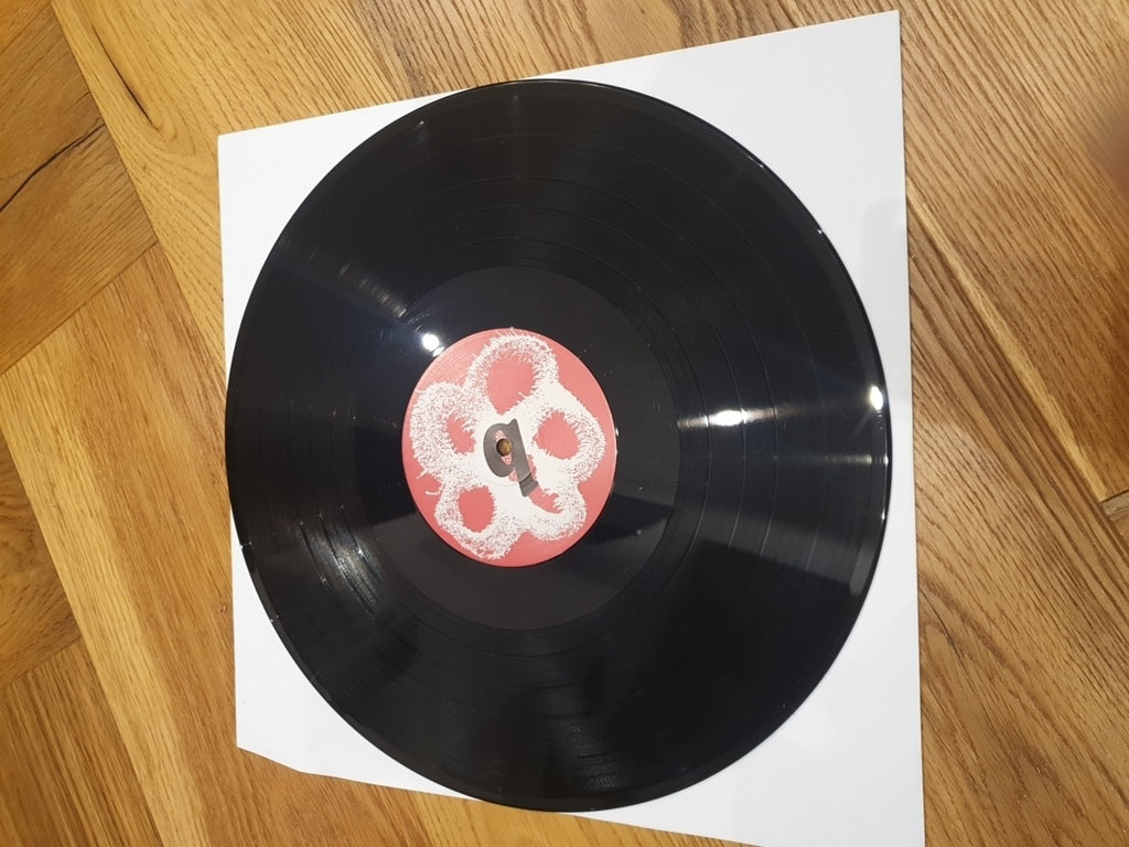 Shybits : What's That? VINYL 12" Album (2025)     rl