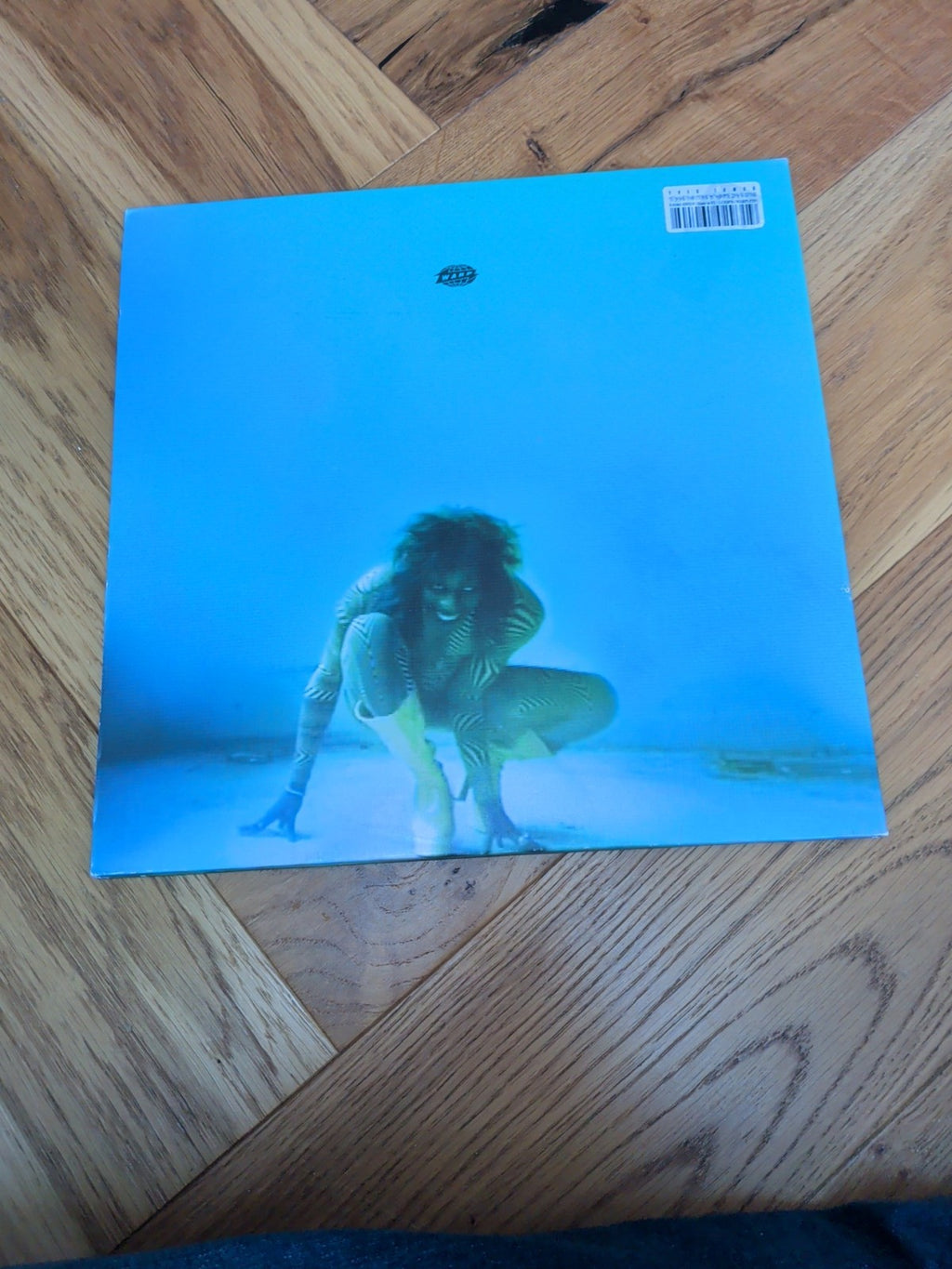 Safe in the Hands of Love by Yves Tumor Record 2018
