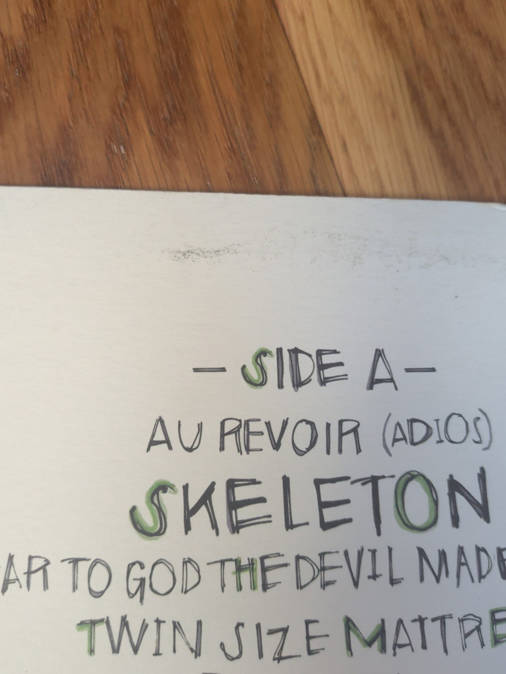 Talon of the Hawk The Front Bottoms Vinyl LP