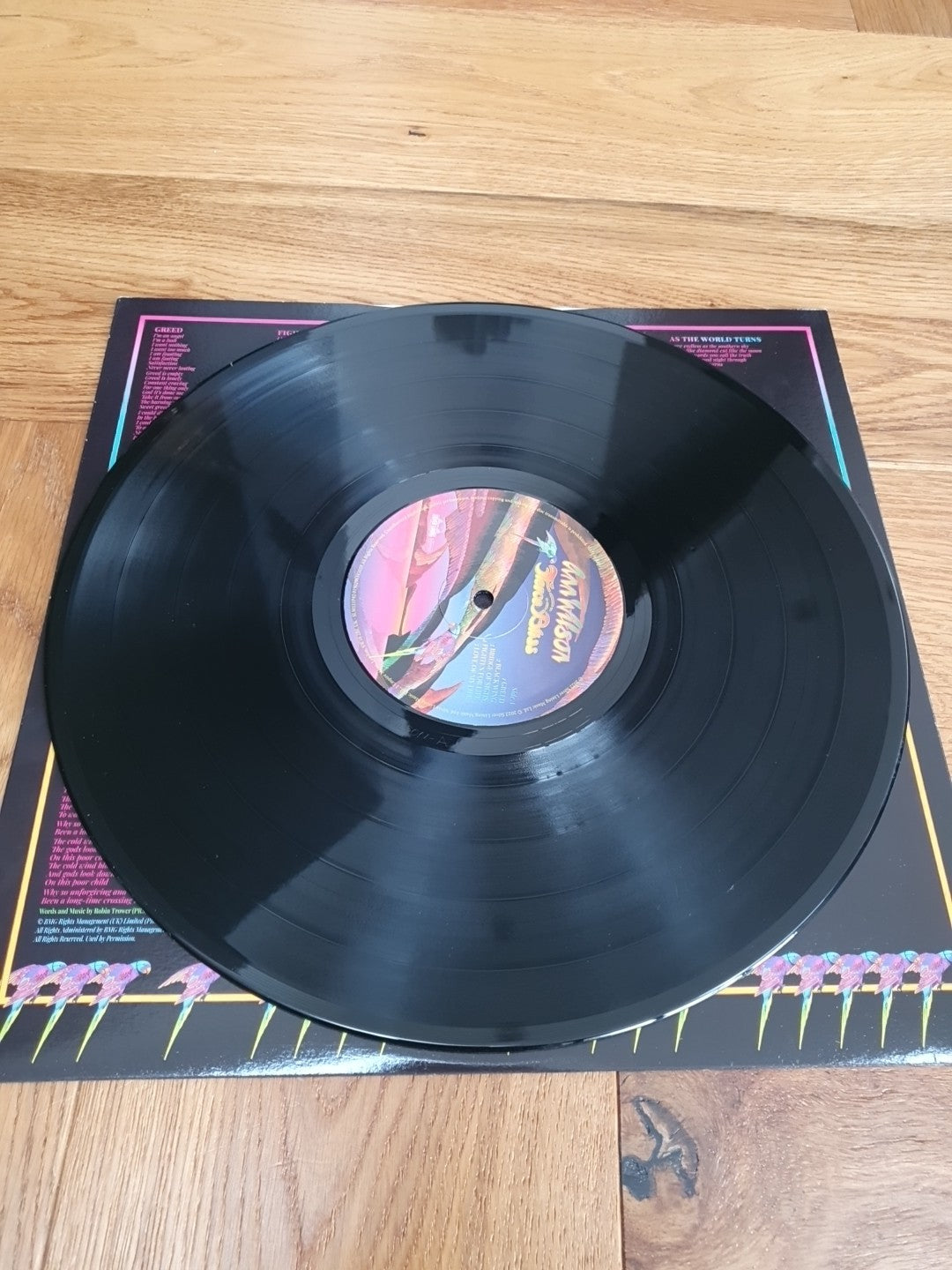 Fierce Bliss by Ann Wilson (Record, 2022) Vinyl LP Album