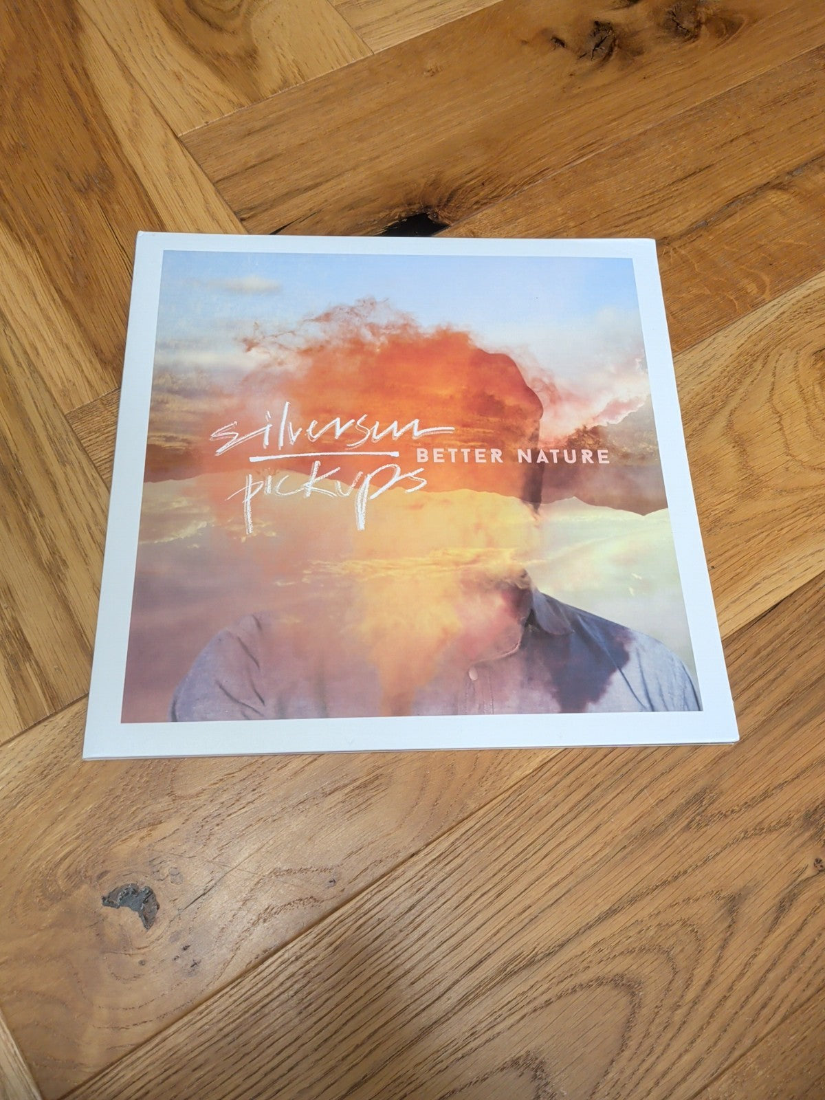 Better Nature LP X 2 by Silversun Pickups Record 2015 Album