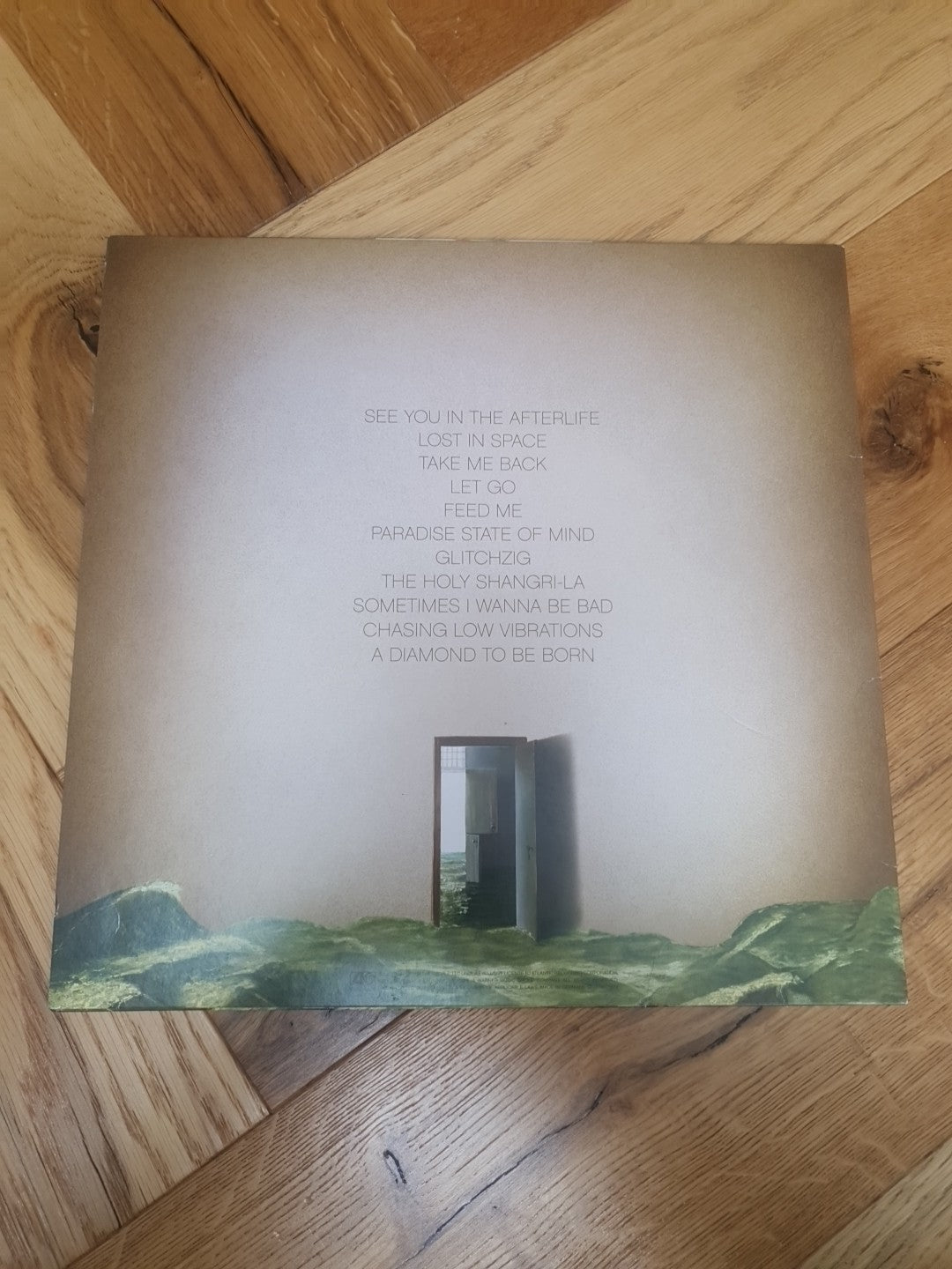 Foster The People Paradise State of Mind [Vinyl]  LP rz