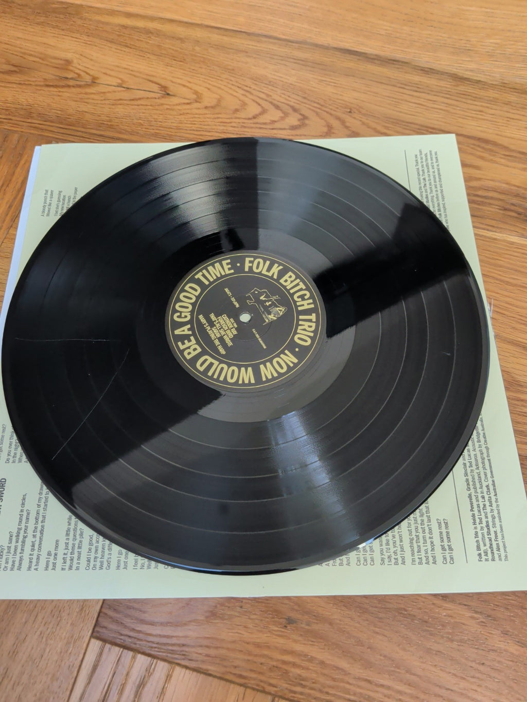 Folk Bitch Trio Now Would Be a Good Time Vinyl LP - See Description