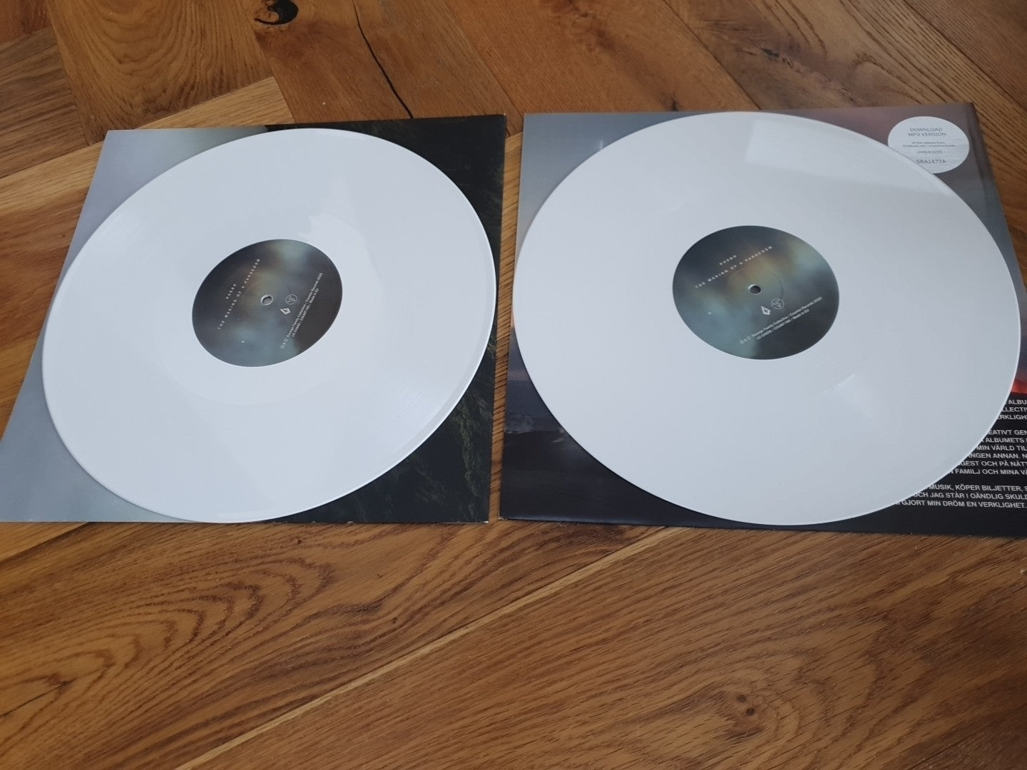 Making of a Paracosm by Kasbo (Record, 2020)