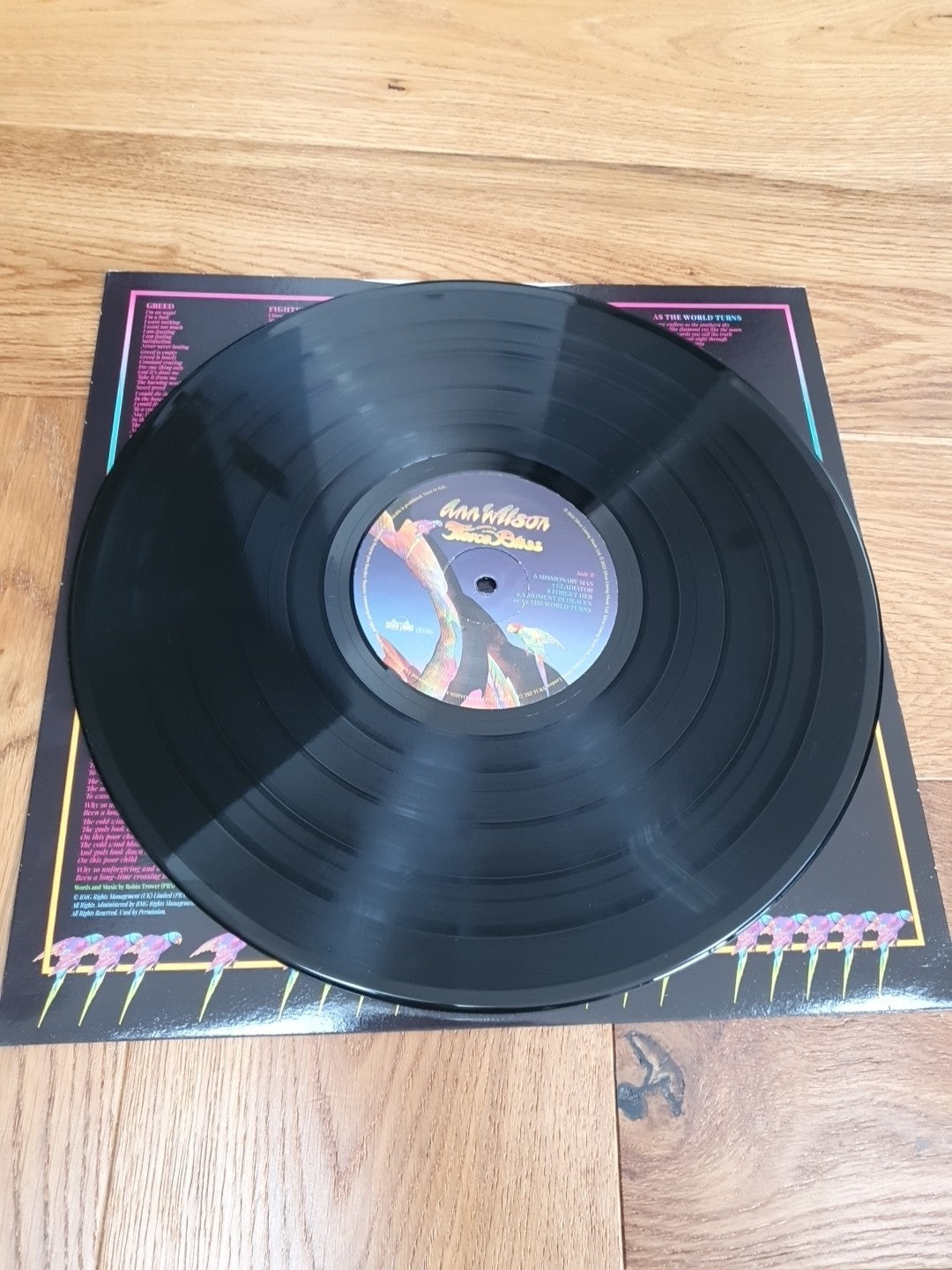 Fierce Bliss by Ann Wilson (Record, 2022) Vinyl LP Album