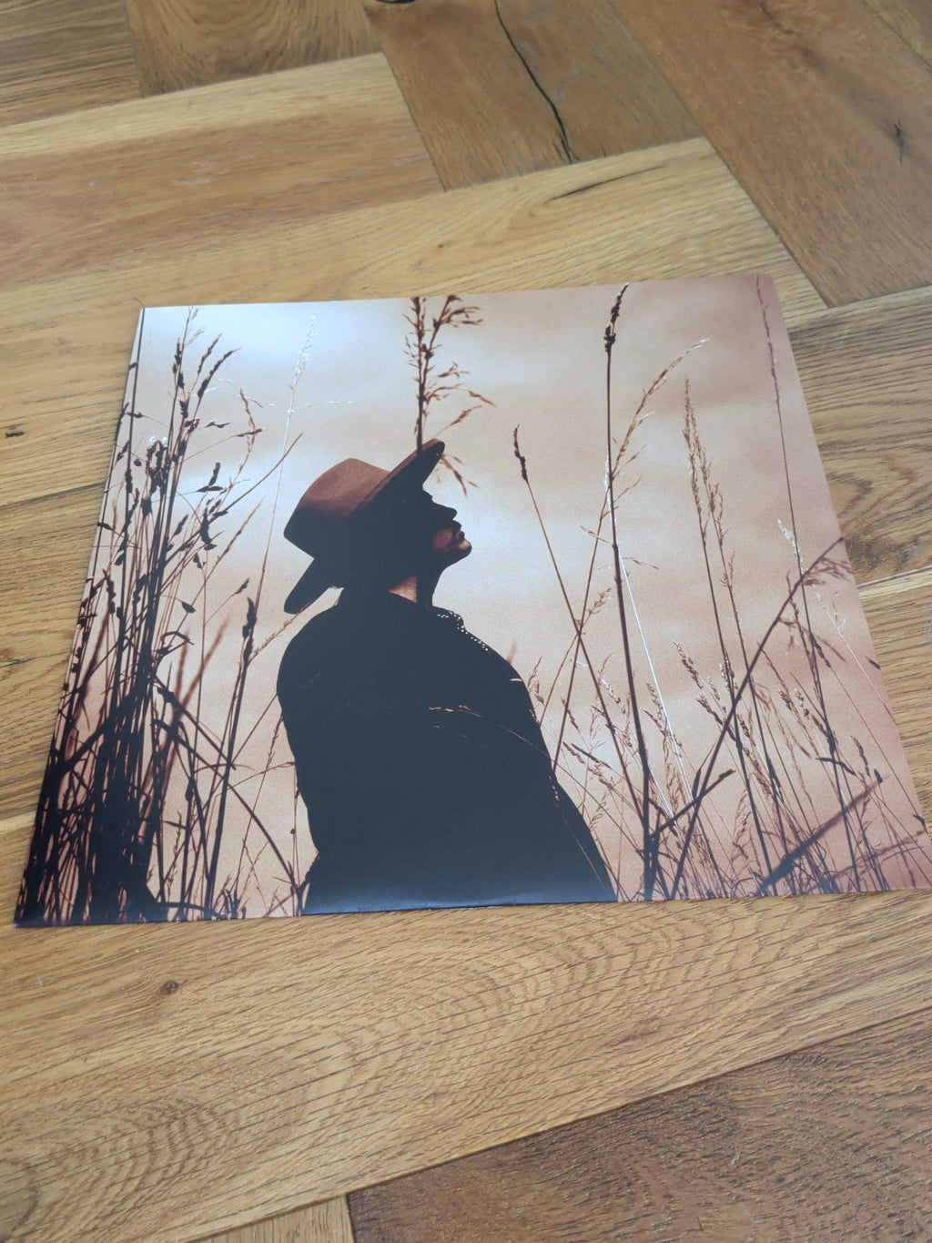 Ed Harcourt Orphic LP Vinyl Album