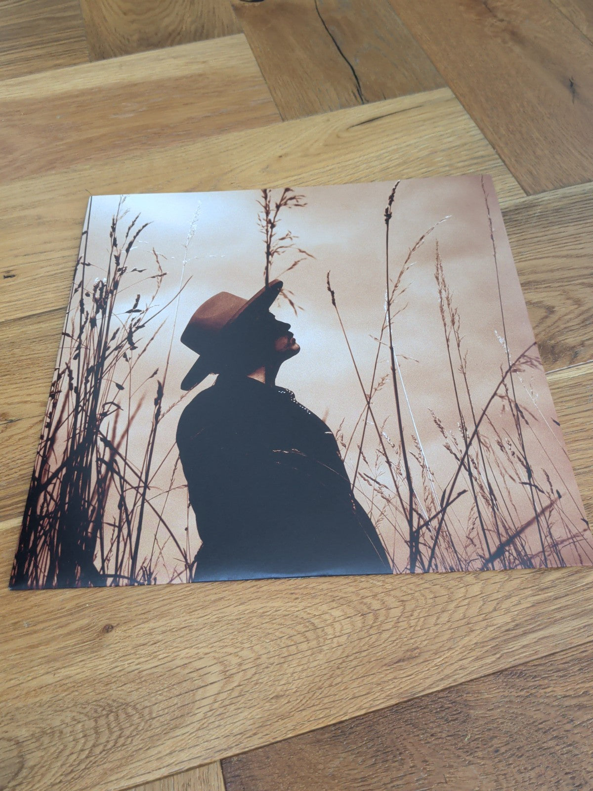 Ed Harcourt Orphic LP Vinyl Album