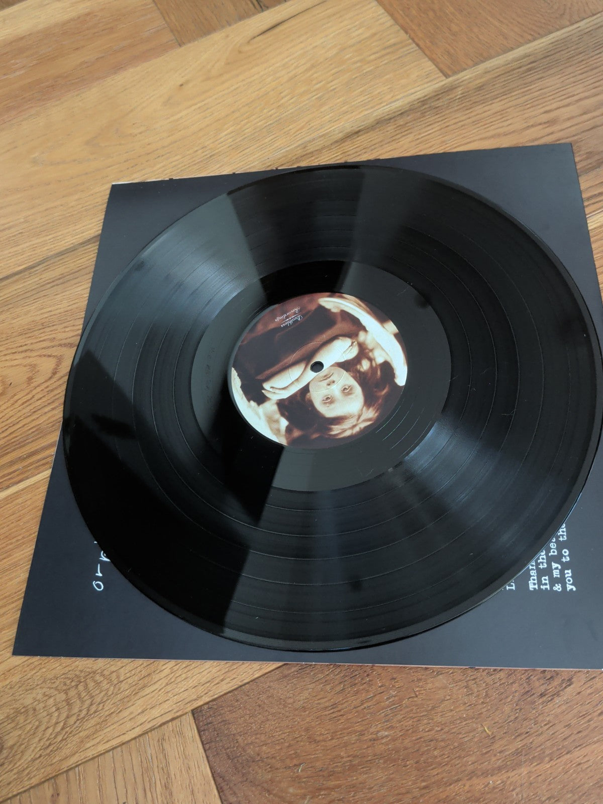 Ed Harcourt Orphic LP Vinyl Album