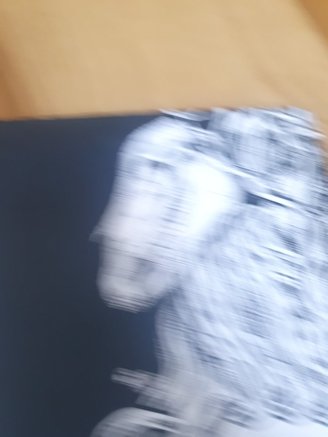 Mares Of Diomedes - Mares Of Diomedes EP Vinyl Record -Heavy Earth Records rl