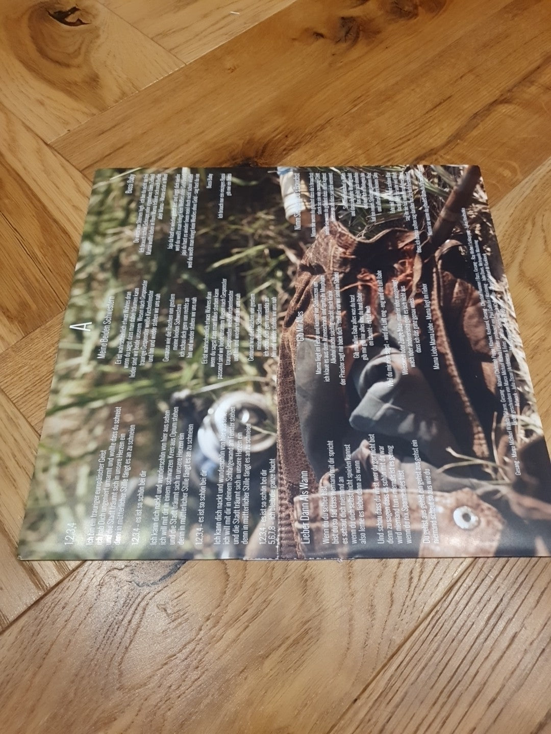 Wanda Bussi (Vinyl) LP Album            rl