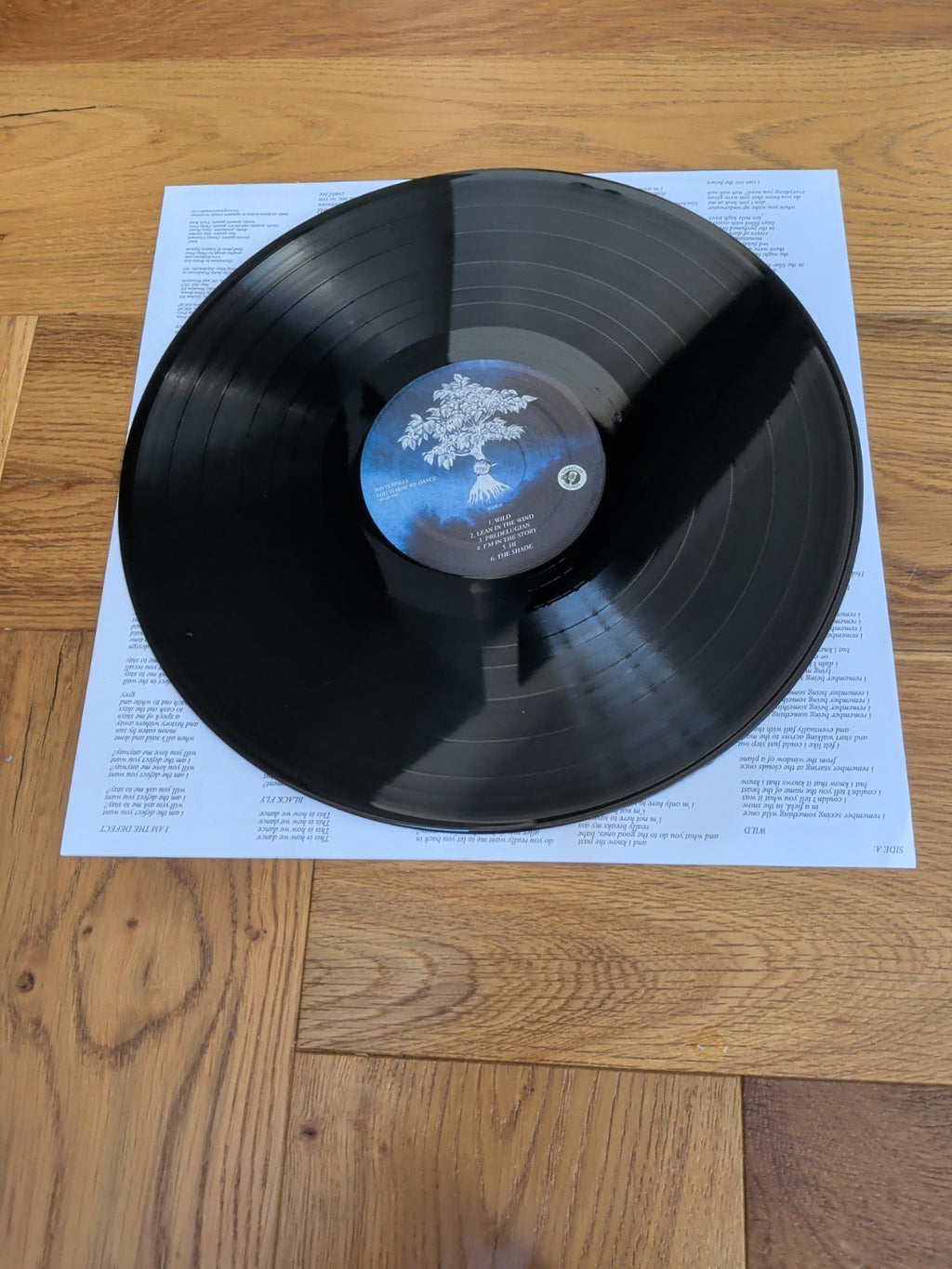 Winterpills This Is How We Dance VINYL 12" Album 2025