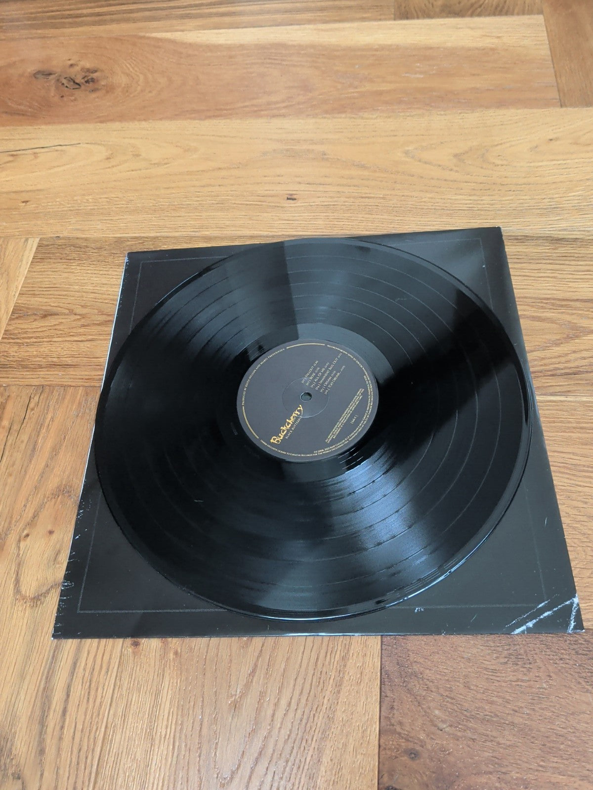Buckcherry  Black Butterfly VINYL 12" Album 2025 LP