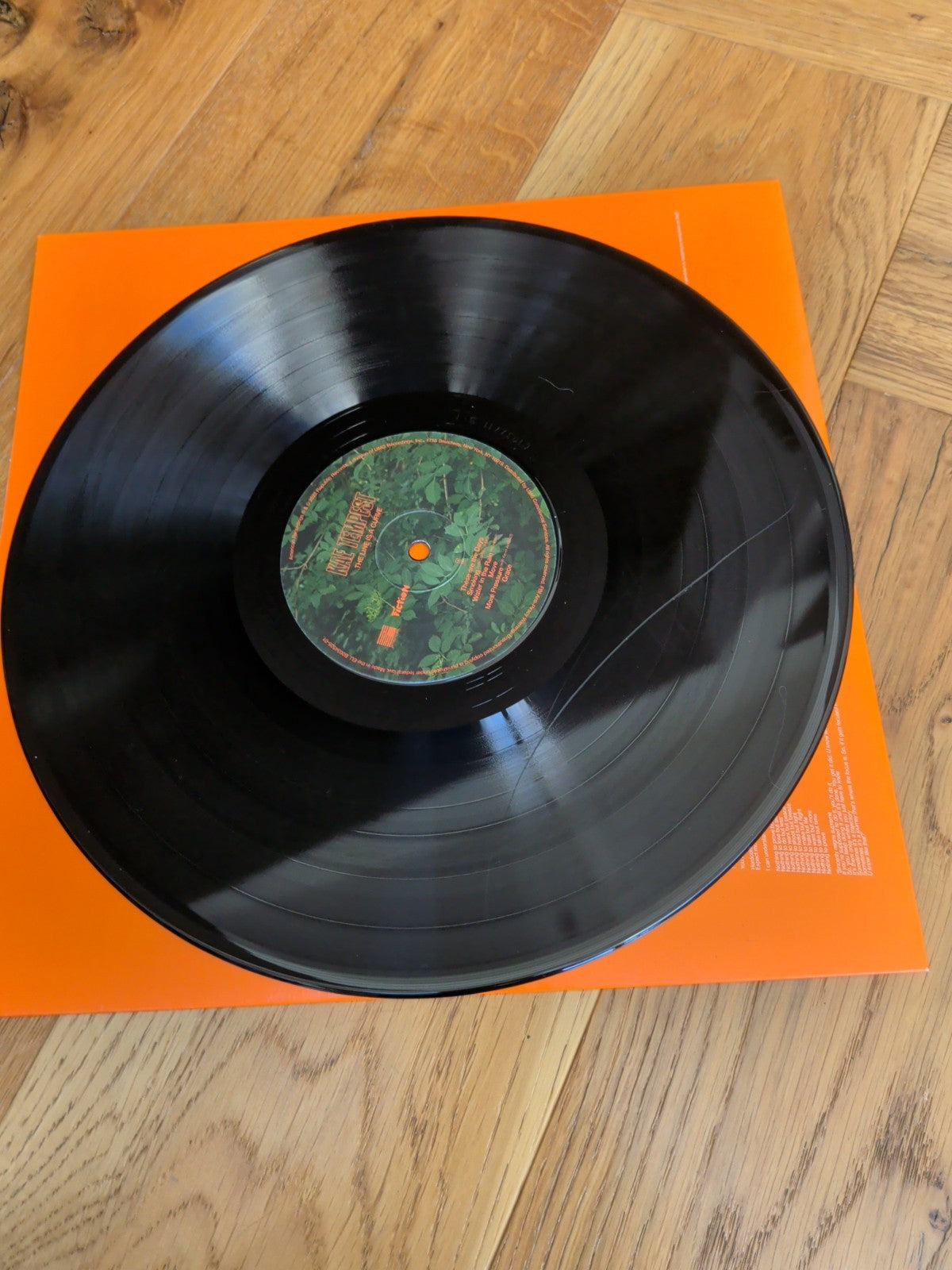 Line Is a Curve by Kae Tempest Vinyl LP 2022 - READ DESCRIPTION