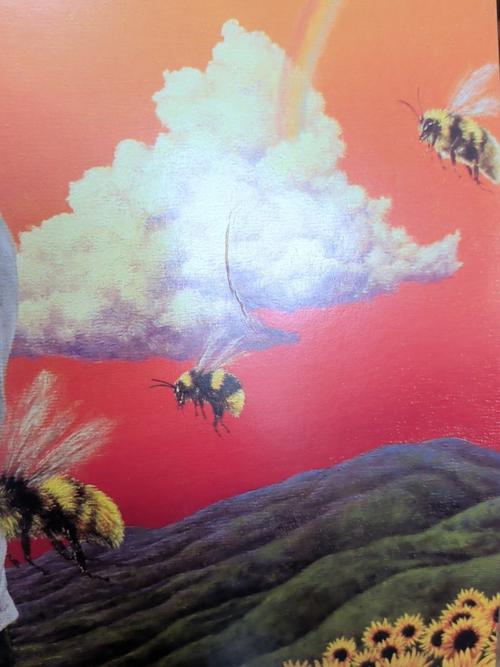 Flower Boy by Tyler the Creator Record 2017 Vinyl LP X 2 Album