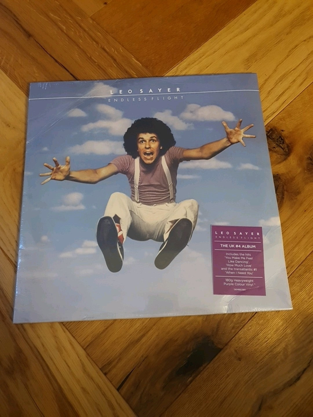 Endless Flight by Leo Sayer (Record, 2020)