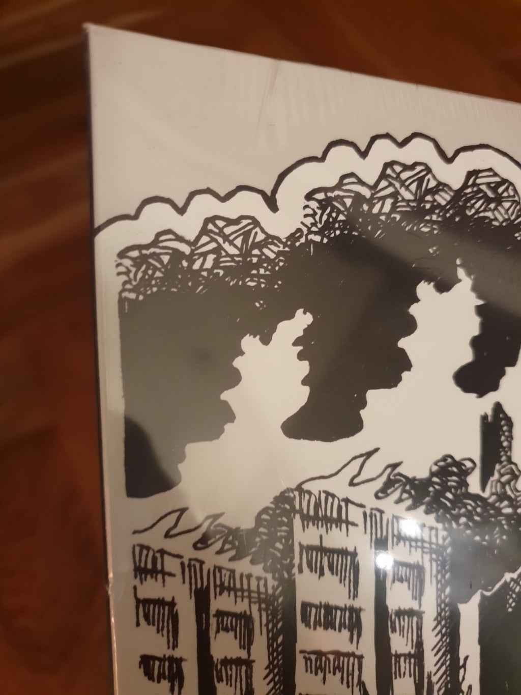 SHEPPARTON AIRPLANE: FORECAST - LP vinyl New Sealed.