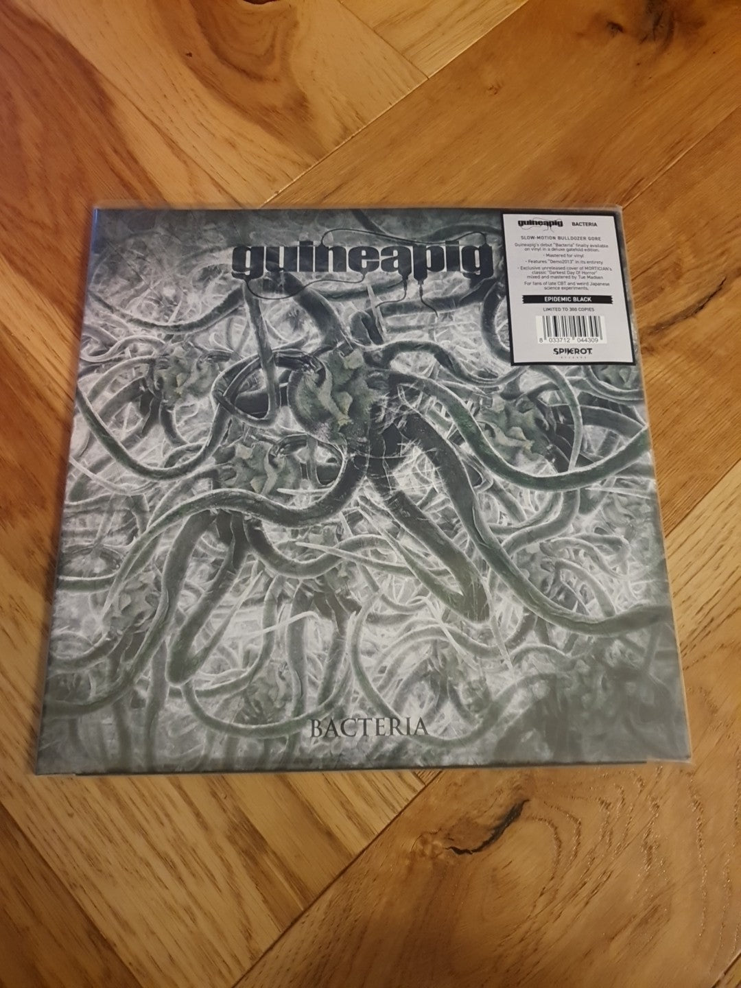 Bacteria by Guineapig (Record, 2019) Vinyl LP