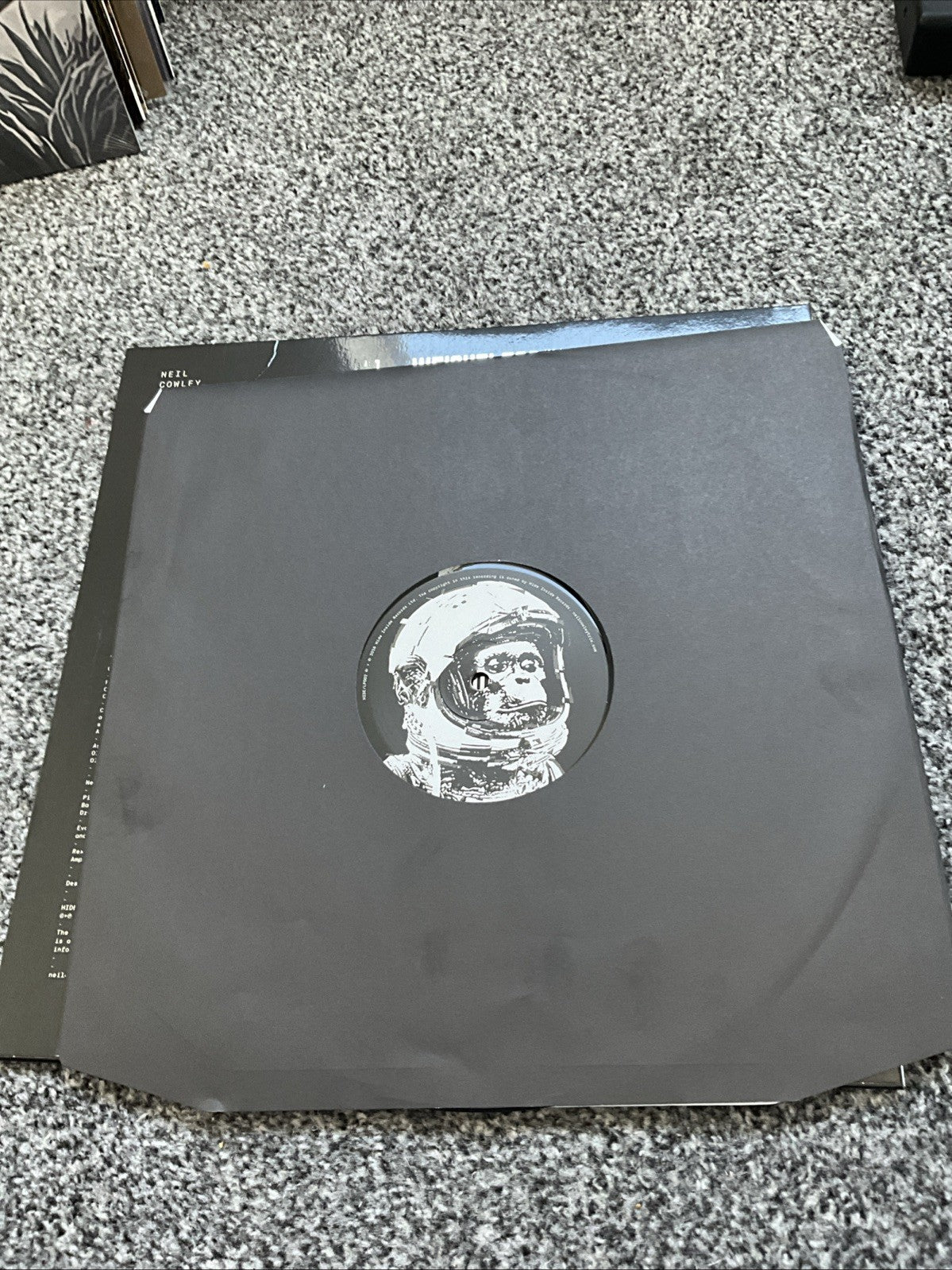 Spacebound Apes by Neil Cowley Trio (Record, 2016)