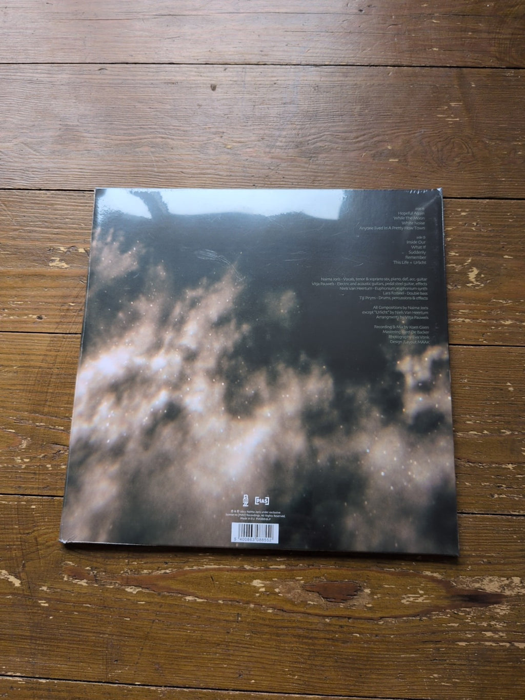 Naima Joris While the Moon (Vinyl)