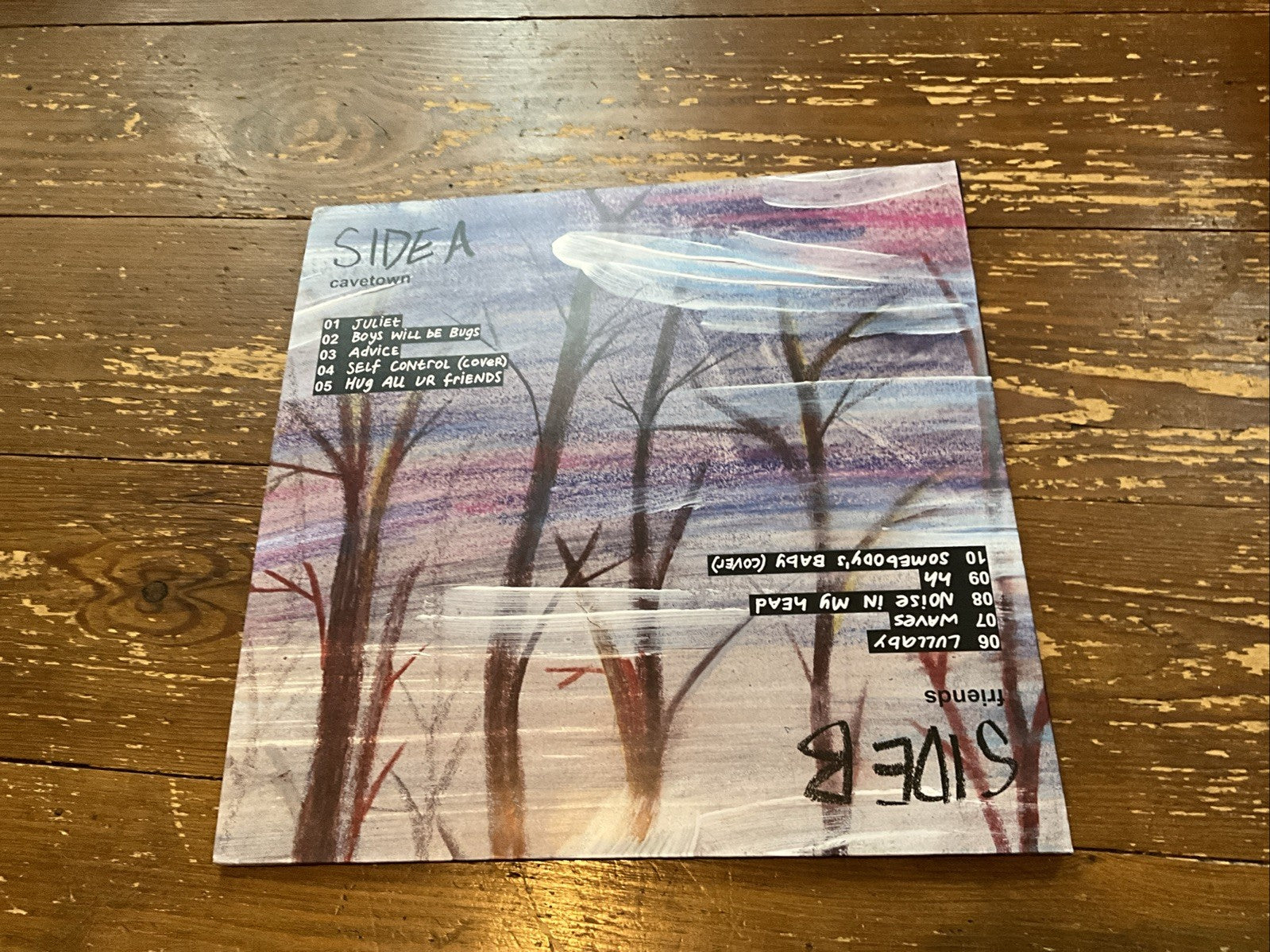 cavetown : Animal Kingdom VINYL 12" Album Coloured Vinyl (Limited Edition)