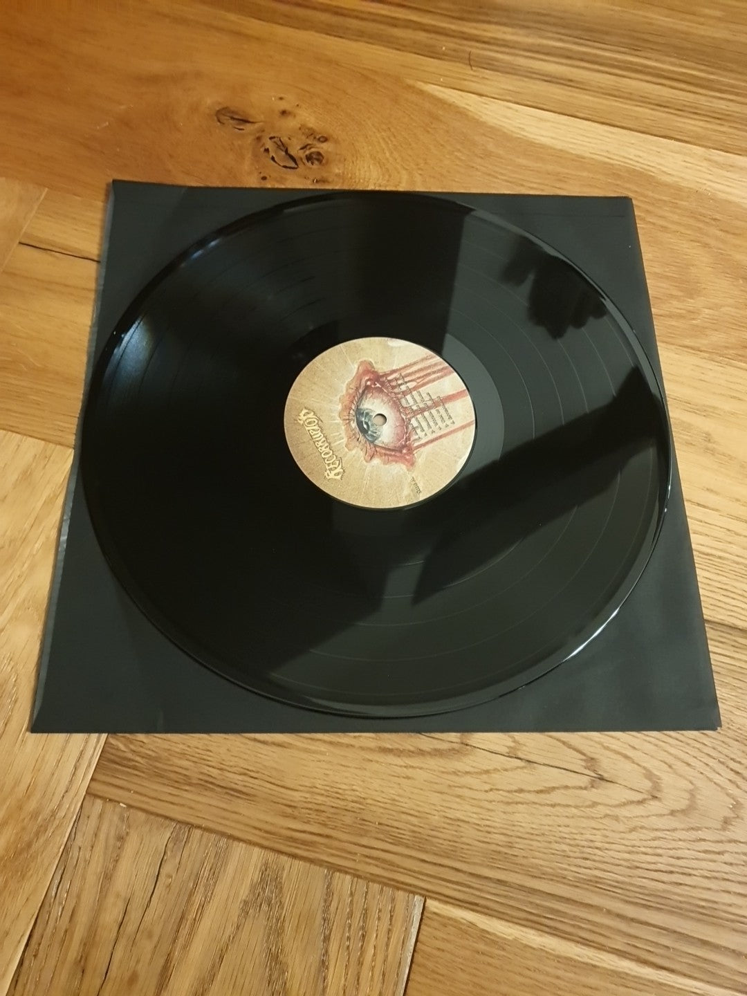 Recorruptor : Sorrow Will Drown Us All VINYL 12" Album (2025) LP