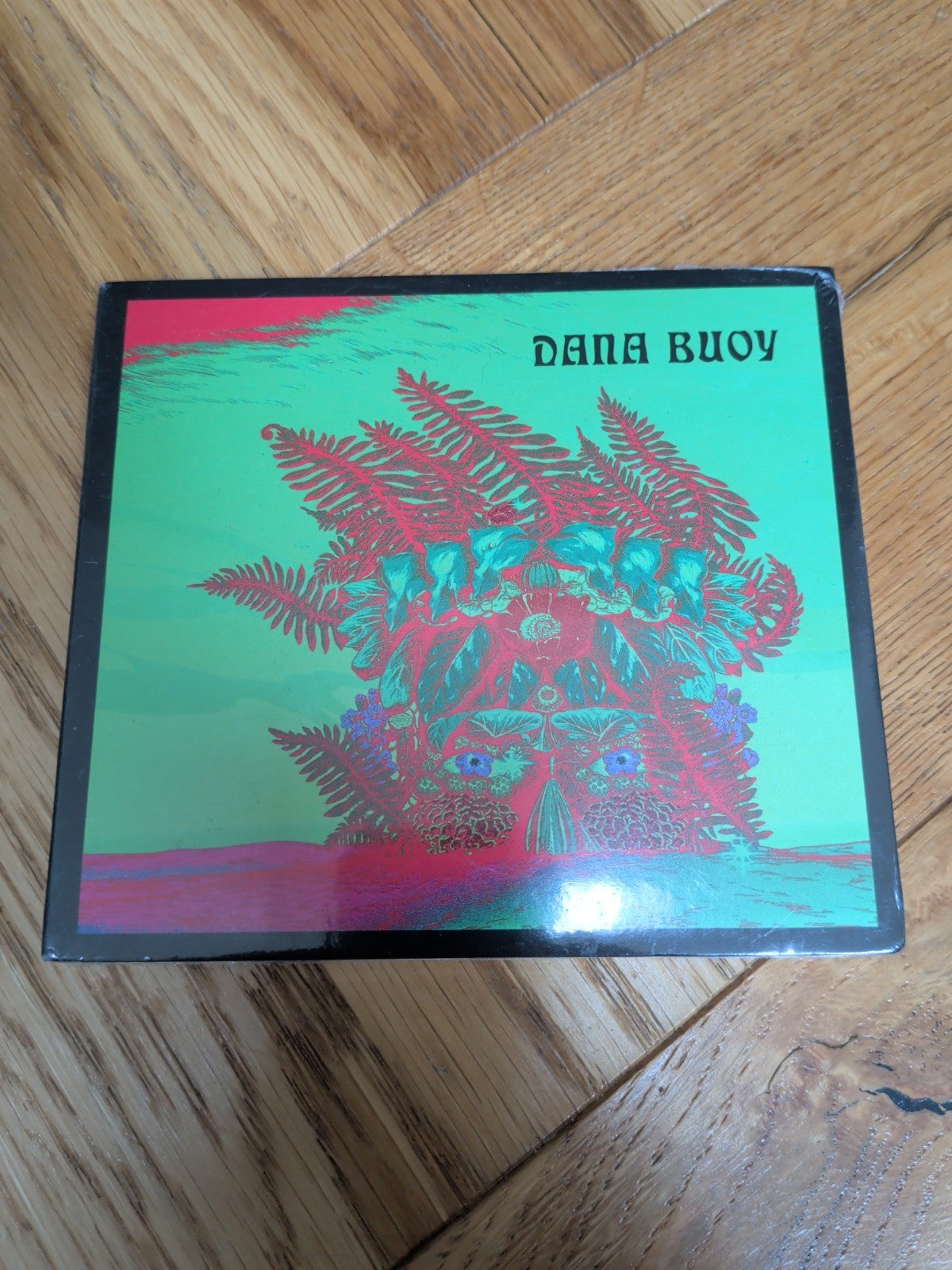 Experiments in Plant Based Music Vol. 1 by Dana Buoy CD 2022