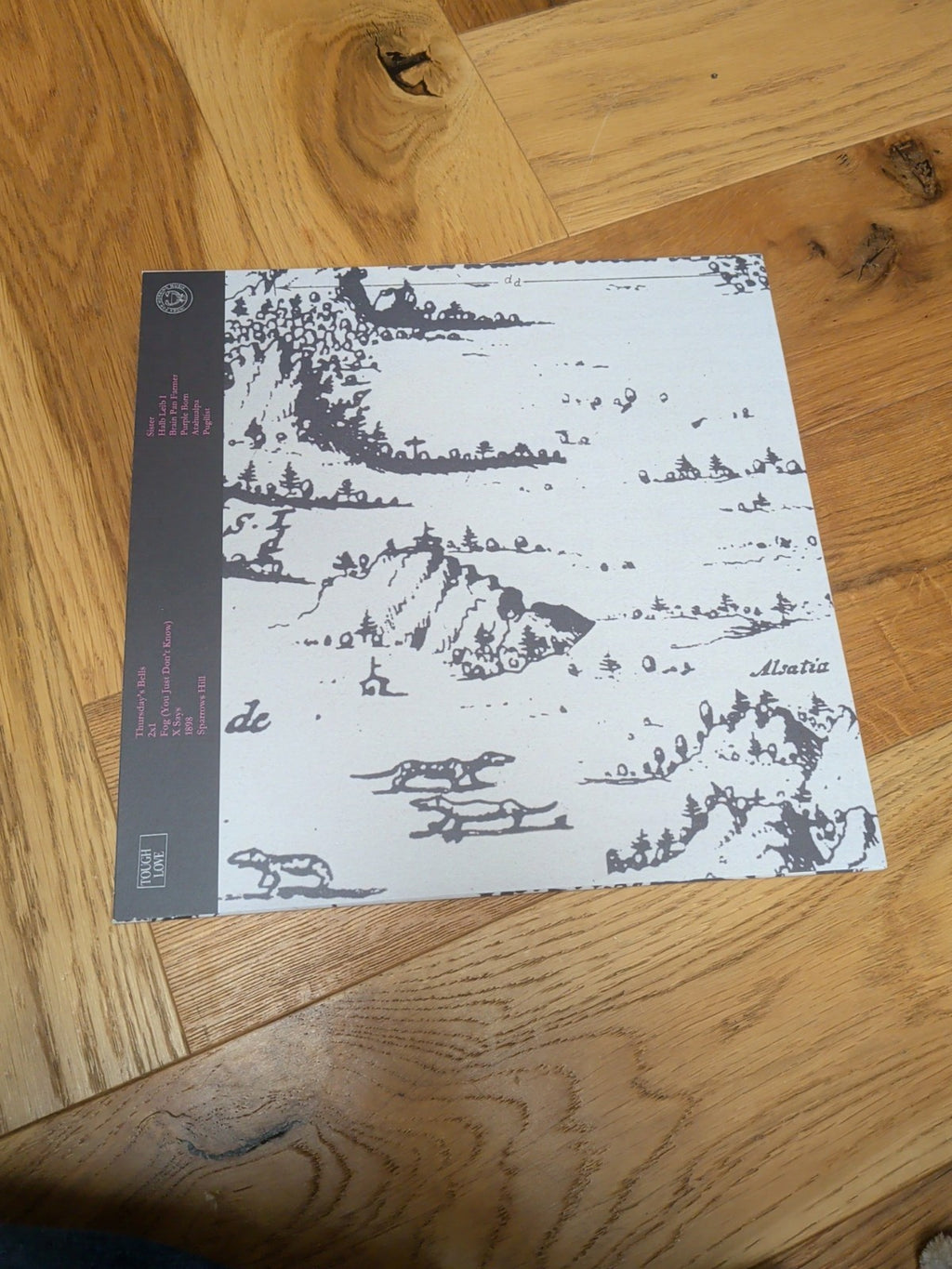Index for Working Musik Which Direction Goes the Beam LP Red Coloured Vinyl