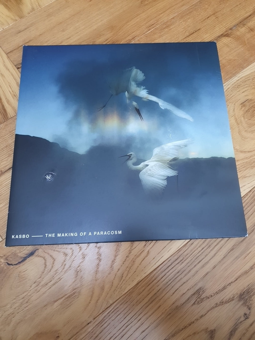 Making of a Paracosm by Kasbo (Record, 2020)